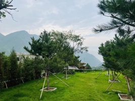 草坪景色